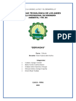 Monografia de Calculo Derivadas Completo