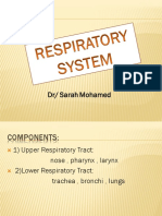 Respiratory System+