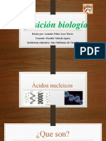 Exposición Acidos Nucleicos