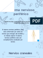 Sistema Nervioso Periférico