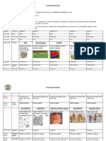 3era Semana de Marzo EXTENSIÓN