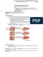 Actividad 6 de Lección 6 Página 26-27