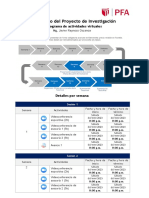 Cronograma de Actividades DPI