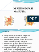 SISTEM REPRODUKSI (Kul-4)