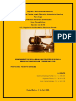 Fundamentos de La Regulacion Publica - Derecho Civil