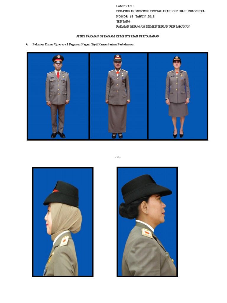 Jenis Seragam Kementerian Pertahanan | PDF
