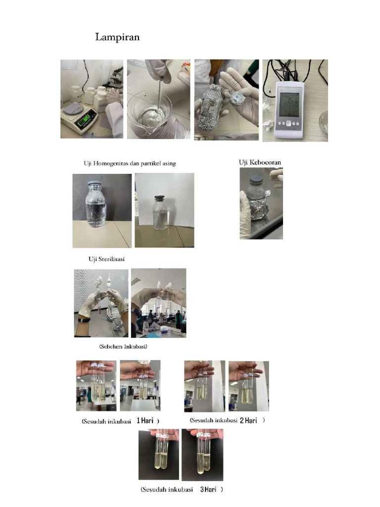 032113D5-F00B-46C7-8750-FB819D8F844D | PDF