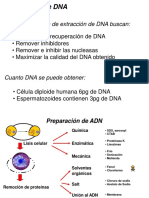 Ingenieria Genetica Metodos Moleculares