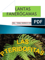 Tema 6 Pteridofitas 2023