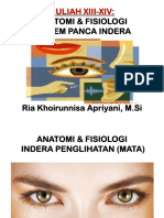 Kuliah Xiii-Xiv - Anatomi Dan Fisiologi Sistem Panca Indera