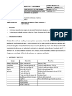 Guía 10. EVIDENCIA DE PRODUCCIÓN DE PIRUVATO Y FOTOSÍNTESIS