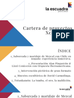 Carpeta de Proyectos Xcaret