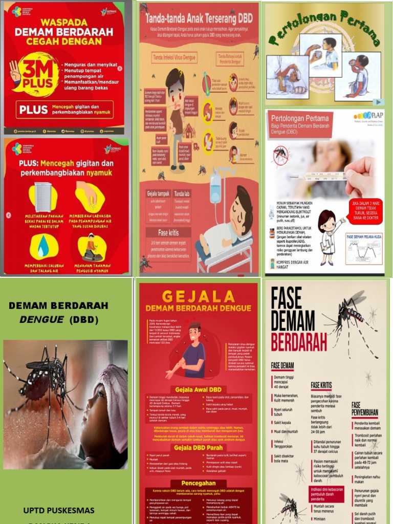 Leaflet DBD | PDF