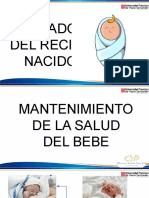 Rotafolio Cuidados Del Recien Nacido y Lactancia Materna PDF