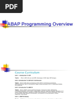 SAP ABAP Intro Training - Powerpoint