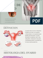 Ovario Histologia