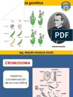 4 Terminología Genética