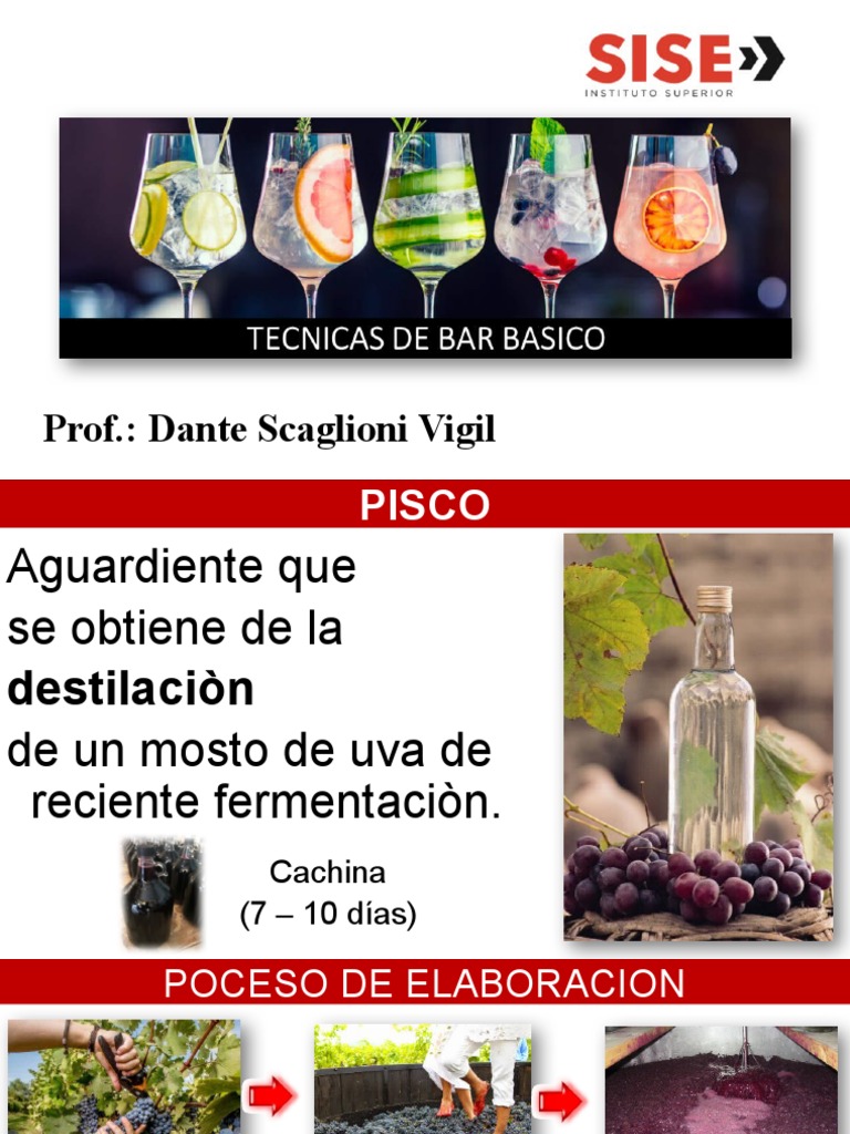 Proceso y Tipos de Pisco | PDF | Uva | Bebidas Fermentadas