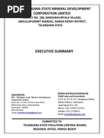 Executive Summary Bandaravirala 10 Pages