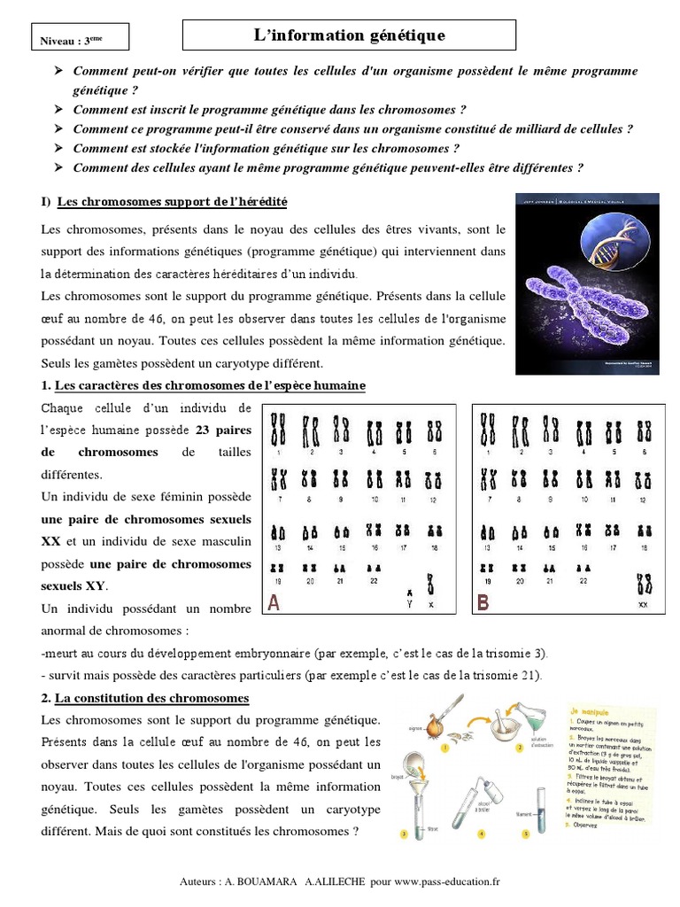 L'information génétique en 3ème SVT | PDF | Allèle | Chromosome