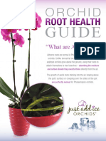 Roothealthguide 3