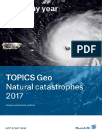 Topics Geo 2017