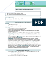 GenBio - Photosynthesis