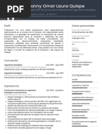 CV Jhonny Omar Laura Quispe