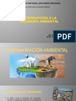 Contaminación Ambiental
