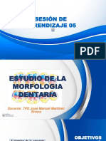 Anatomia y Fisiologia Bucodentaria ESTUDIO DE LA MORFOLOGIA DENTARIA