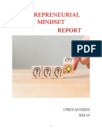 Entrepreneurial Mindset Report