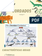 Apresentação Zoologia - Cordados