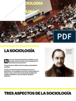 La Sociología Como Disciplina