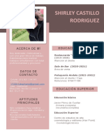 CV Shirley Castillo Rodriguez