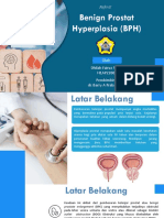 Benign Prostat Hyperplasia (BPH)