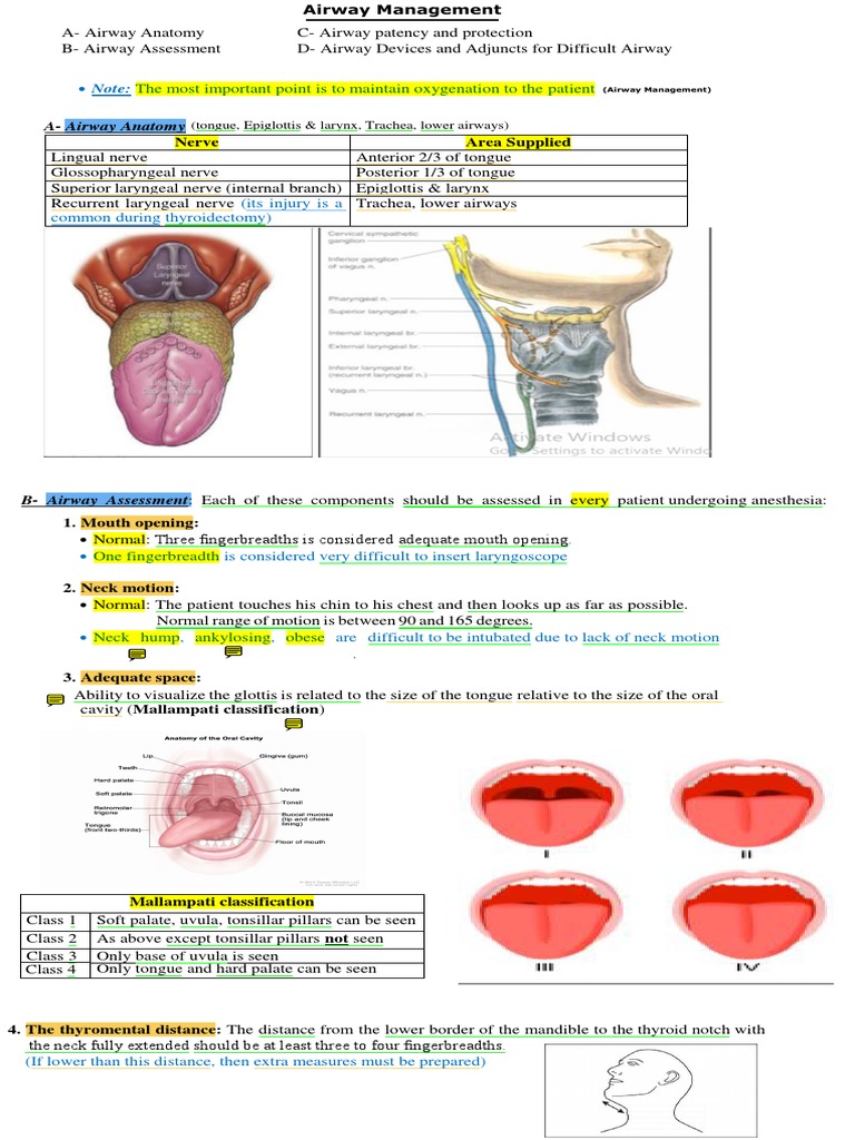 Airway Management Pdf Medical Specialties Anatomy