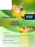 Urban Pests-Technician