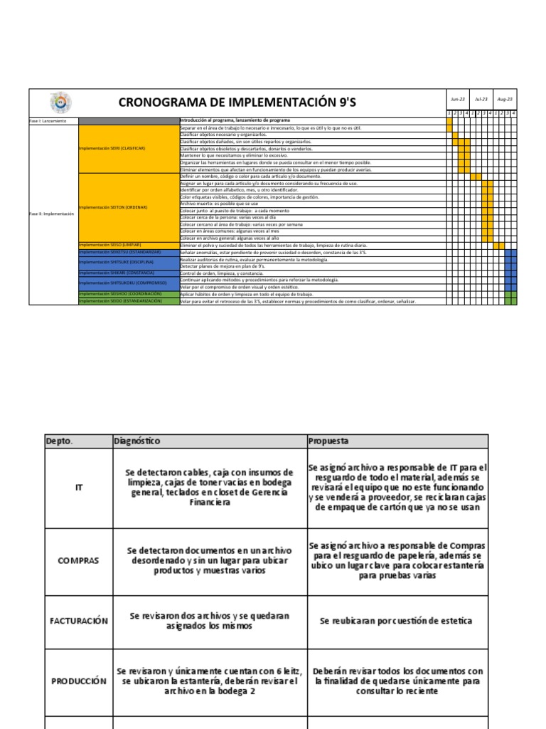 Cronograma Implementación 9's | PDF