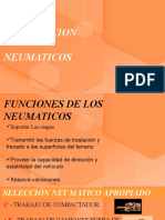 Capacitacion Neumaticos