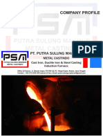 Company Profile PSM PT