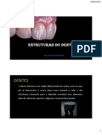 PDF AULA 9 - Estruturas Do Dente