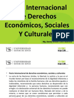 Pacto Internacional de Derechos Humanos Economicos Sociales y Culturales-Semana 3