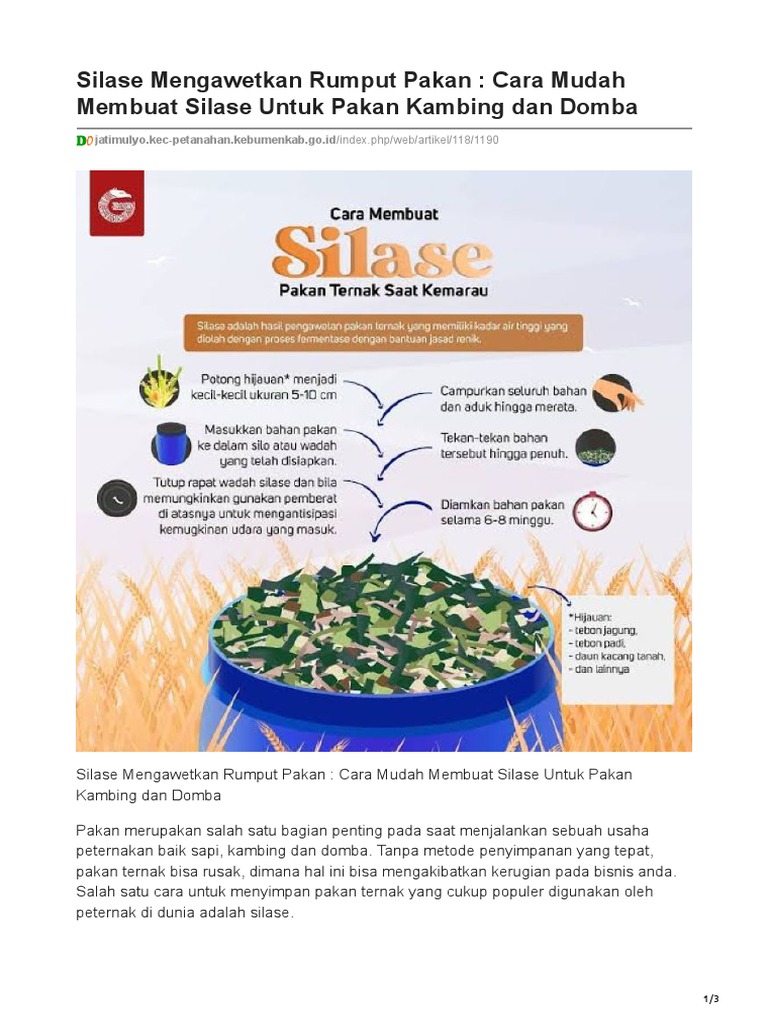 Cara Mudah Membuat Silase Pakan Ternak | PDF