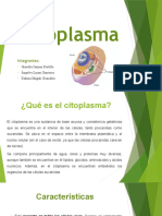Cito Plasma 12