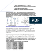 5 Percepción Sensorial Del Espacio