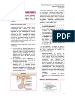 11 - Hipófise Parte 2 - Diabetes Insipidus