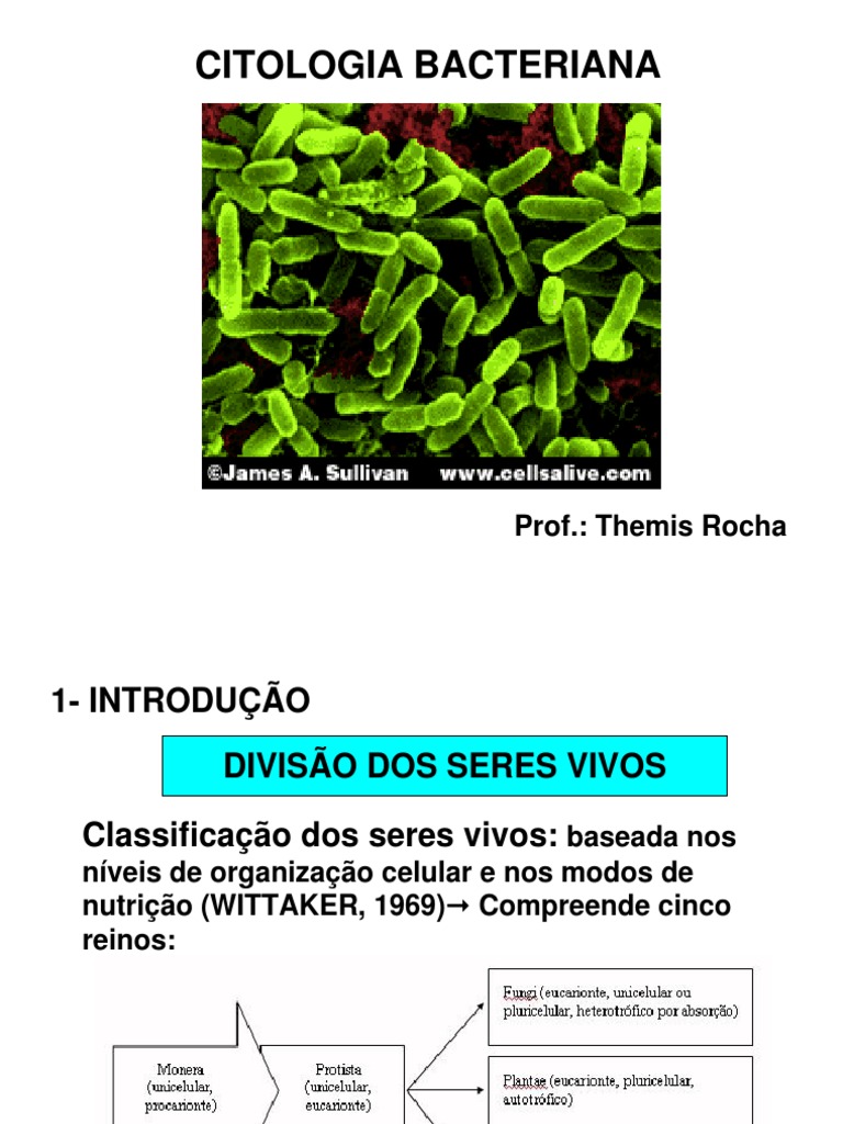 Sobre A Citologia Bacteriana é Correto Afirmar Que