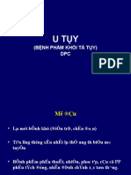 BỆNH TỤY