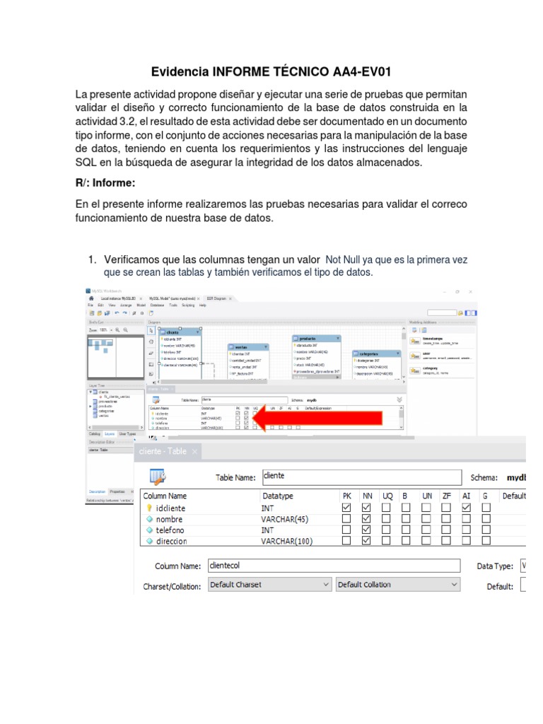 informe-t-cnico-aa4-ev01-pdf