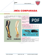 Anatomía Comparada: I.E.P. Josemaría Escrivá de Balaguer